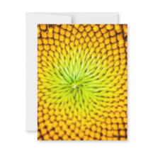 Sunflower Note Cards