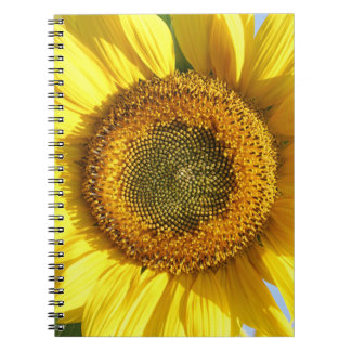 Sunflower Notebook