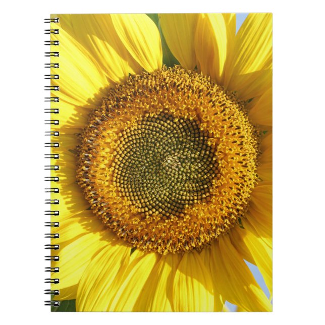 Sunflower Notebook (Front)