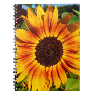Sunflower Notebook