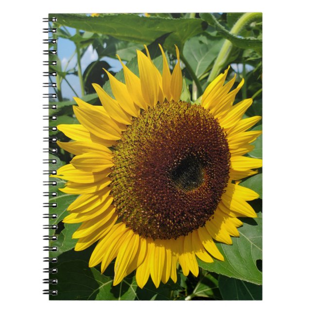 Sunflower Notebook (Front)