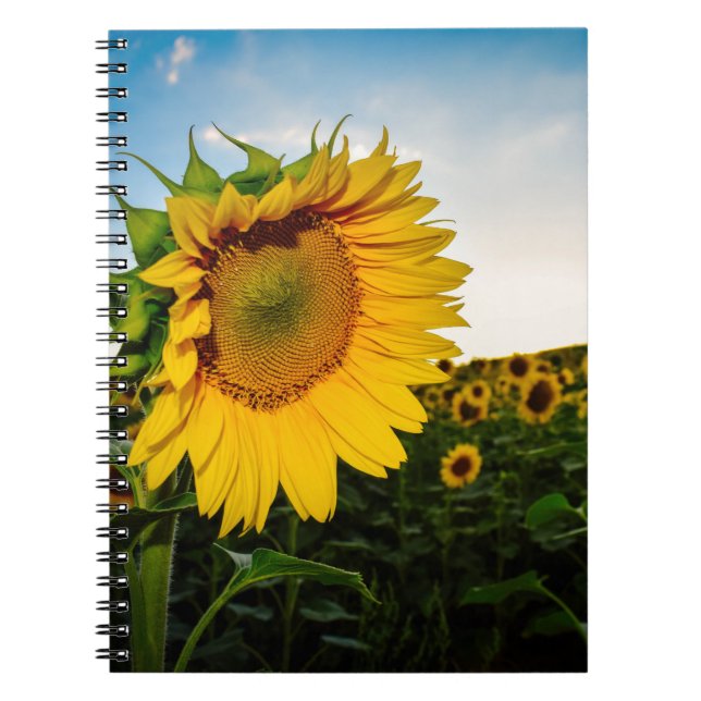 Sunflower Notebook (Front)