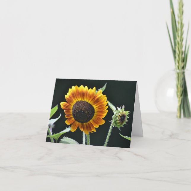 Sunflower Notecard (Front)