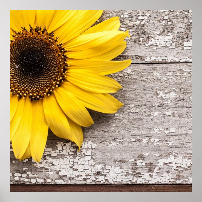 Sunflower on a Wooden Table Poster (Front)