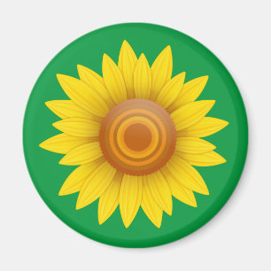Sunflower on Green Magnet