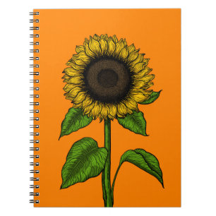 Sunflower on orange notebook