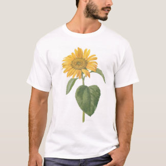 sunflower on white T-Shirt