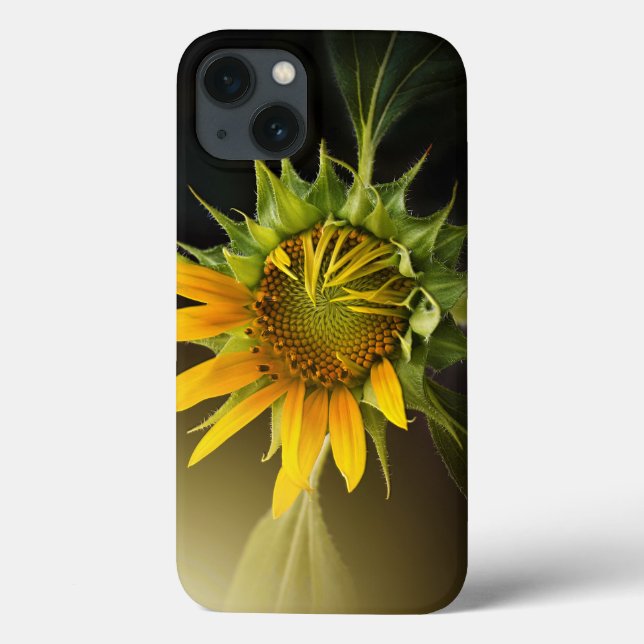 Sunflower Opening in Full Bloom Case-Mate iPhone Case (Back)