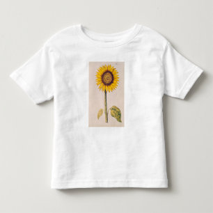 Sunflower or Helianthus Toddler T-Shirt