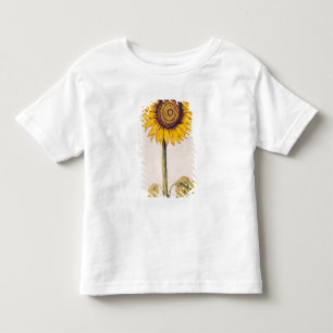 Sunflower or Helianthus Toddler T-Shirt