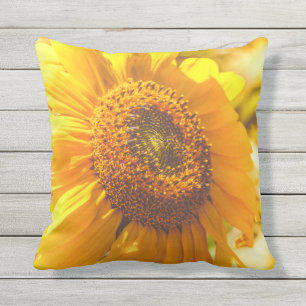 Sunflower Orange Flower Cushion