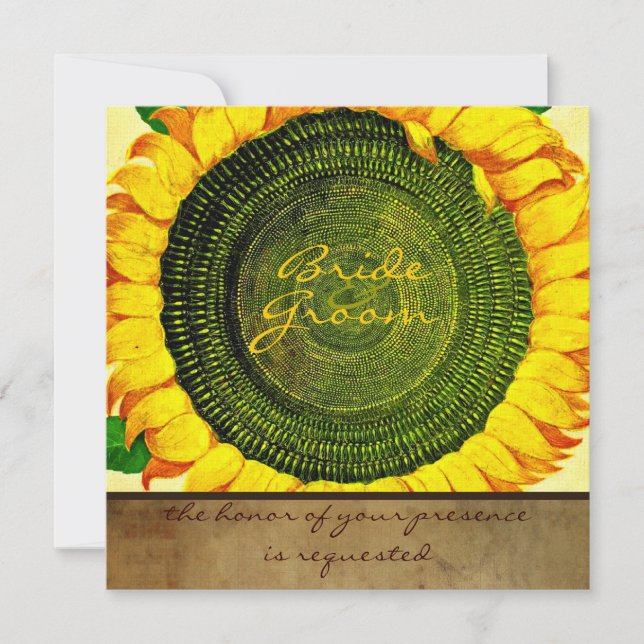 Sunflower Parchment Square Wedding Invitation (Front)