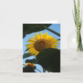 Sunflower Peeking Notecard