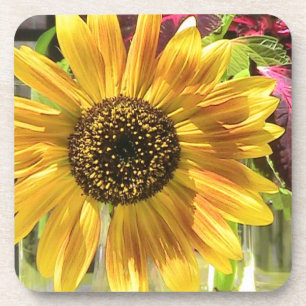Sunflower Petal Cork Coaster