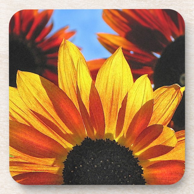 Sunflower Petals Coaster (Front)