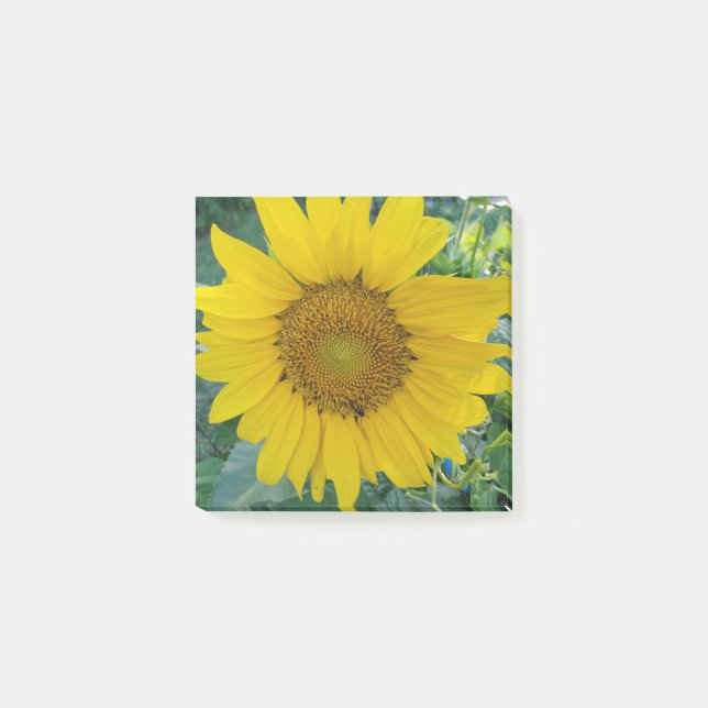 Sunflower Photo Post-it Notes (Front)