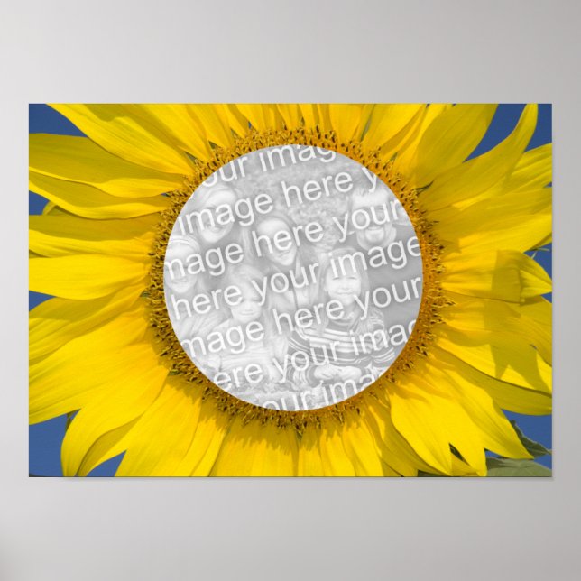 Sunflower Photo Poster (Front)