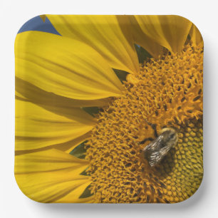Sunflower Photo Summer Bee Botanical Garden Paper Plate