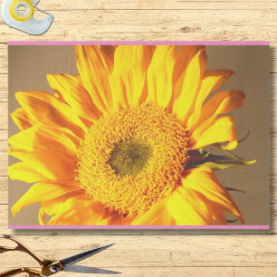 Sunflower Photo Tissue Paper