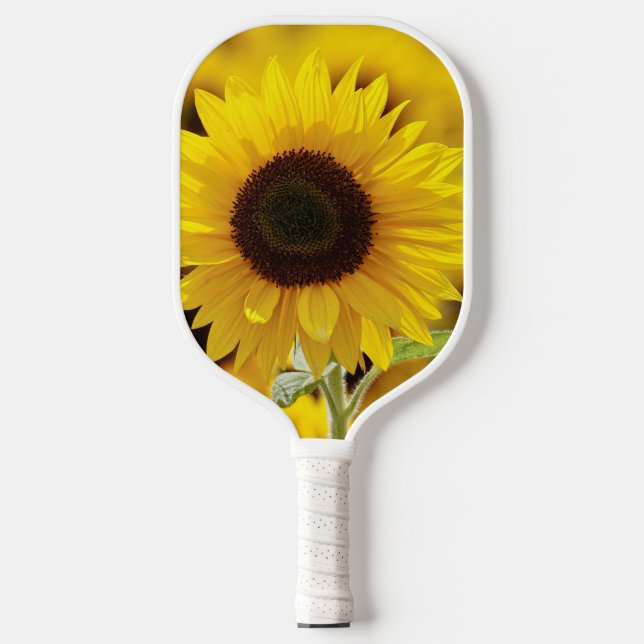 SUNFLOWER PICKLE BALL PADDLE (Front)