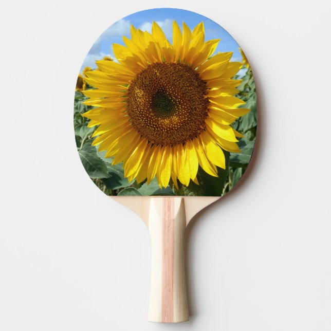 Sunflower Ping Pong Paddle (Front)