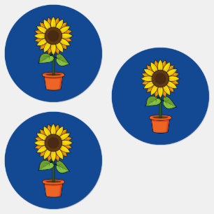 Sunflower Plant in a Pot
