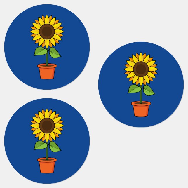 Sunflower Plant in a Pot (Group)