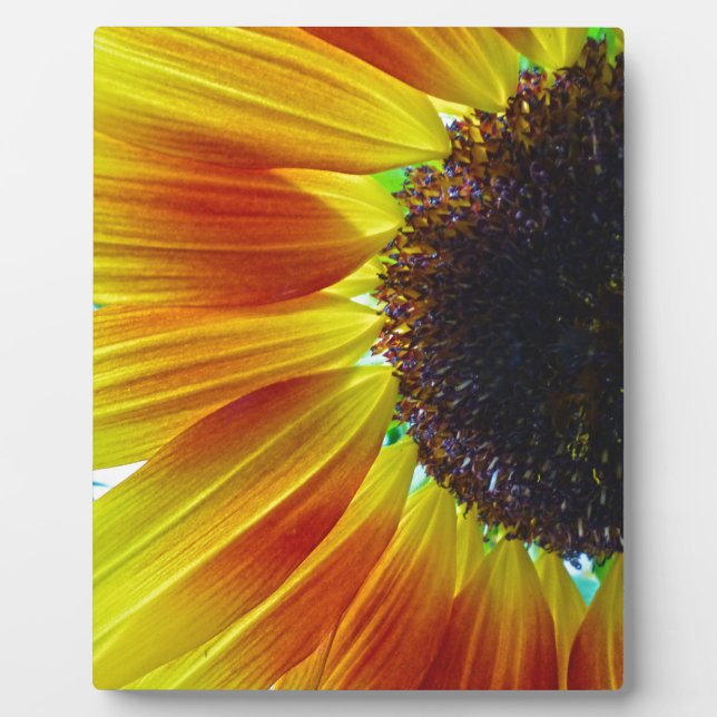Sunflower Plaque (Front)