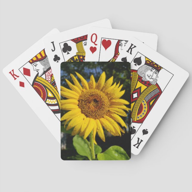 Sunflower Playing Cards (Back)