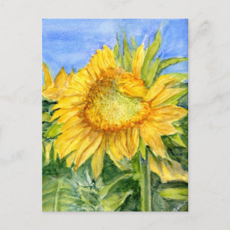 Sunflower Postcard