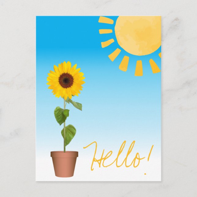 Sunflower Postcard (Front)