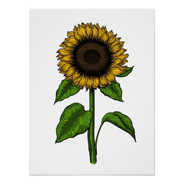 Sunflower Poster (Front)