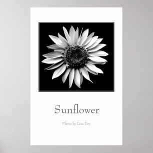 'Sunflower' Poster