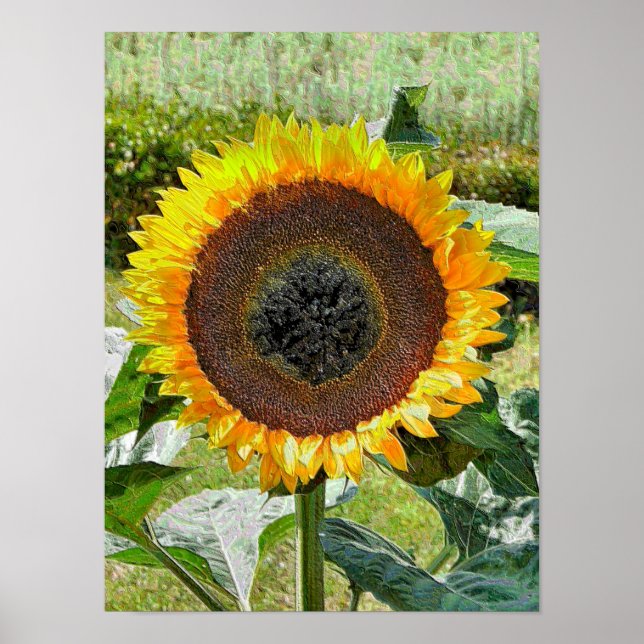 SUNFLOWER POSTER (Front)