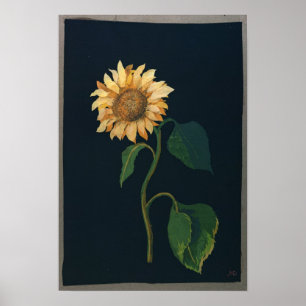 Sunflower Poster