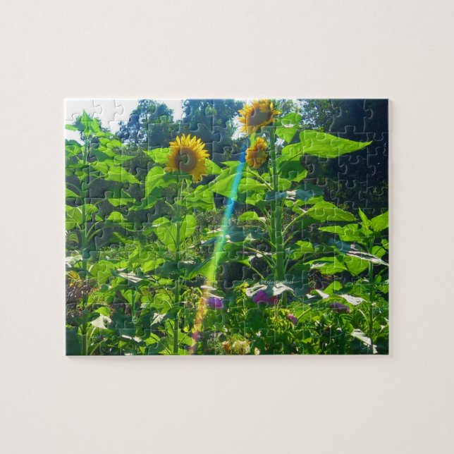 Sunflower Power Puzzle (Horizontal)