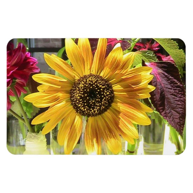 Sunflower Premium Flexi Magnet (Horizontal)