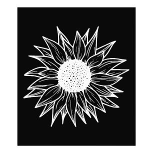 Sunflower Pretty flower multi-coloured wildflower Photo Print