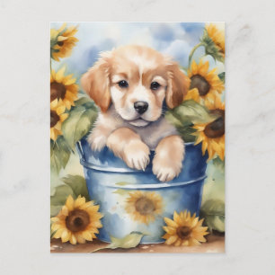 Sunflower Puppy Postcard