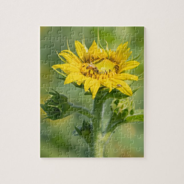Sunflower Puzzle (Vertical)