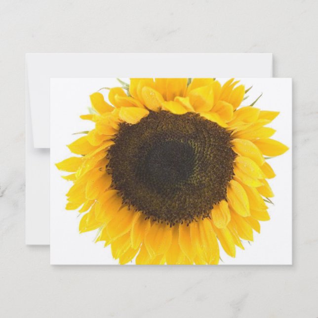 Sunflower Response Card (Front)