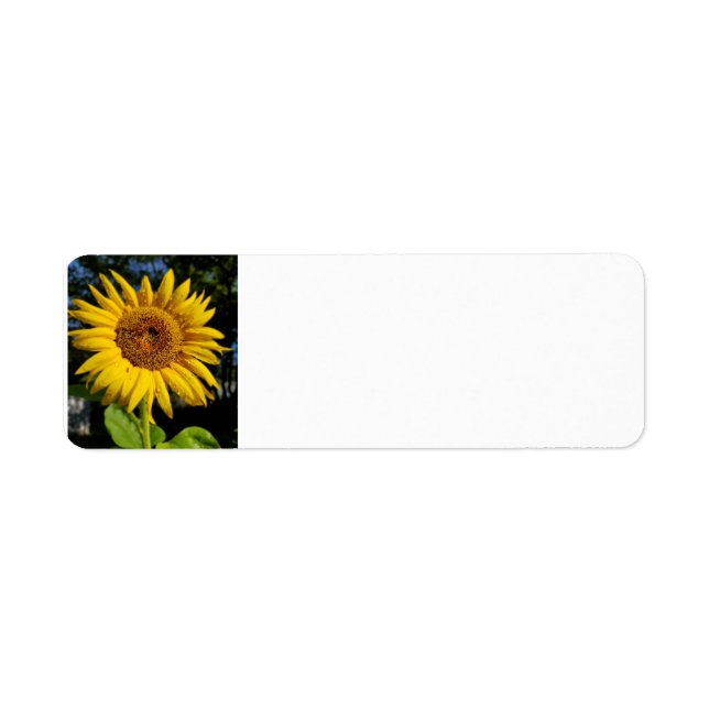 Sunflower Return Address Label (Front)
