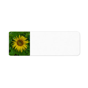 Sunflower Return Address Label