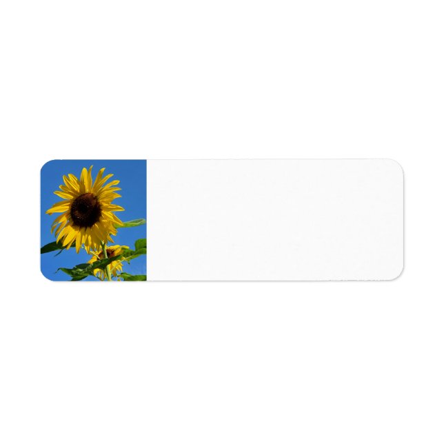 Sunflower return address label (Front)