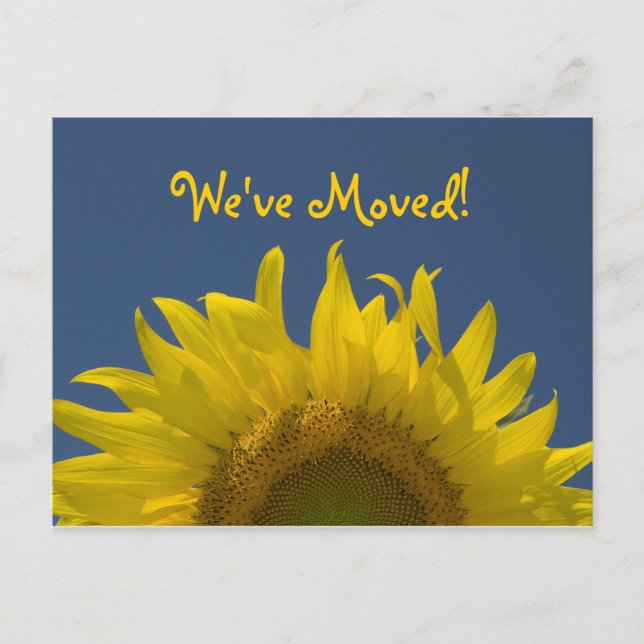 Sunflower Rising Change of Address Announcement