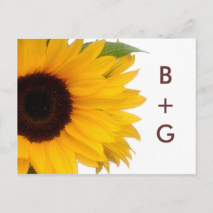 Sunflower Save the Date Postcard