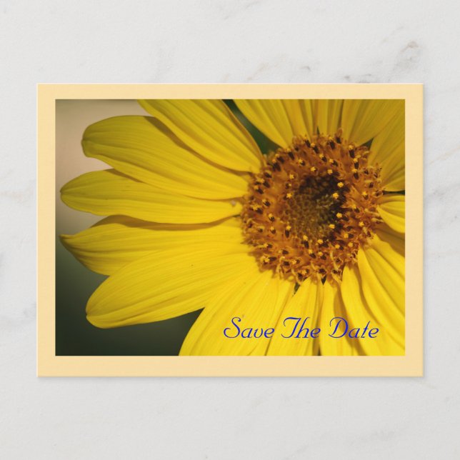 Sunflower Save The Date Postcard (Front)