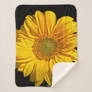 Sunflower sba sherpa blanket
