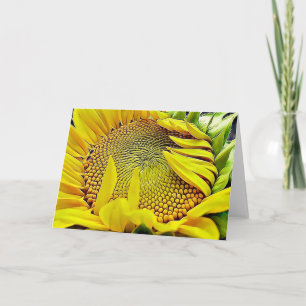 Sunflower Scripture Note Card Psalm 84:11