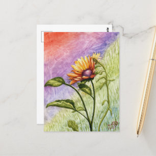 Sunflower Secrets at Sunset Postcard
